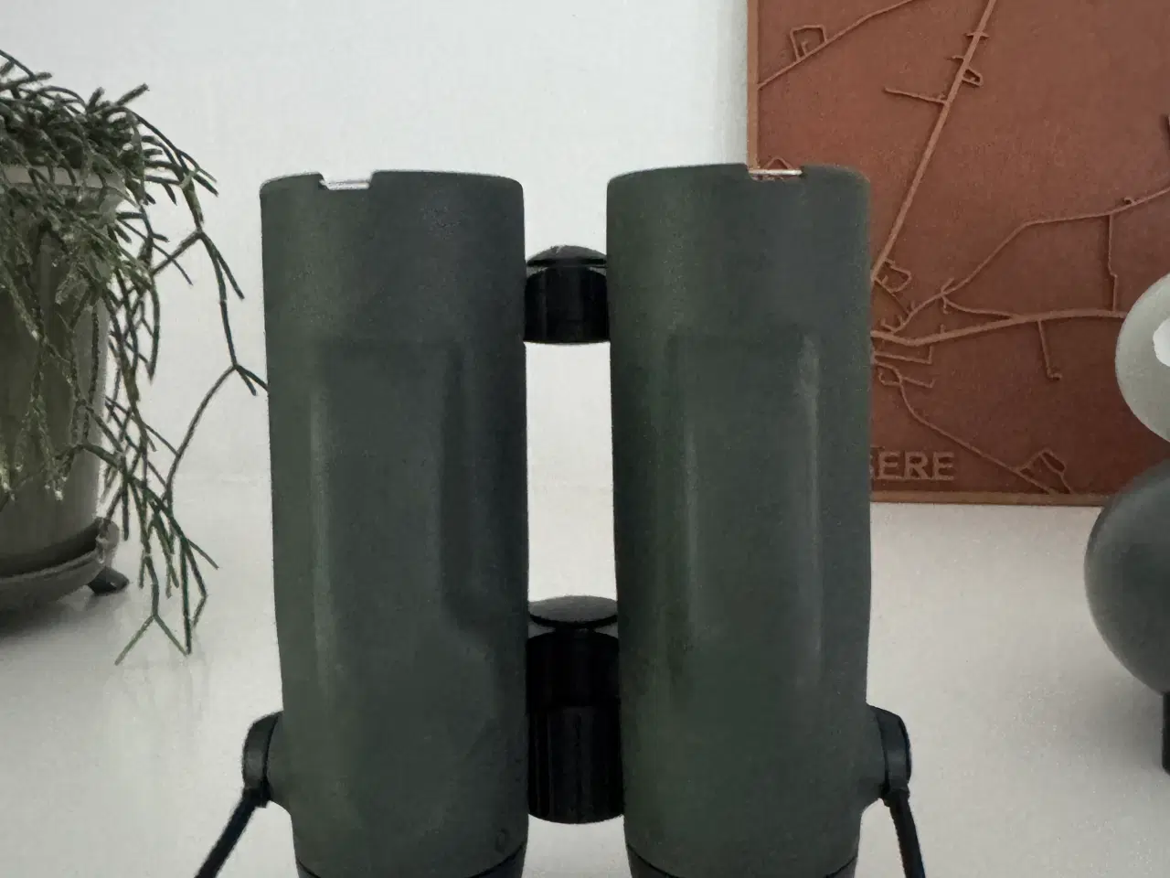 Billede 4 - Swarovski EL 10x42