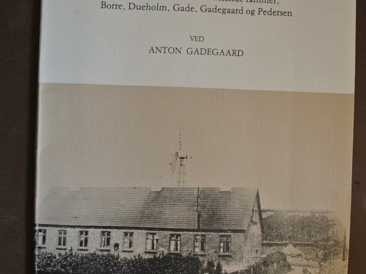 Billede 1 - gamle slægter på thyholm, ved anton gadegaard, emn