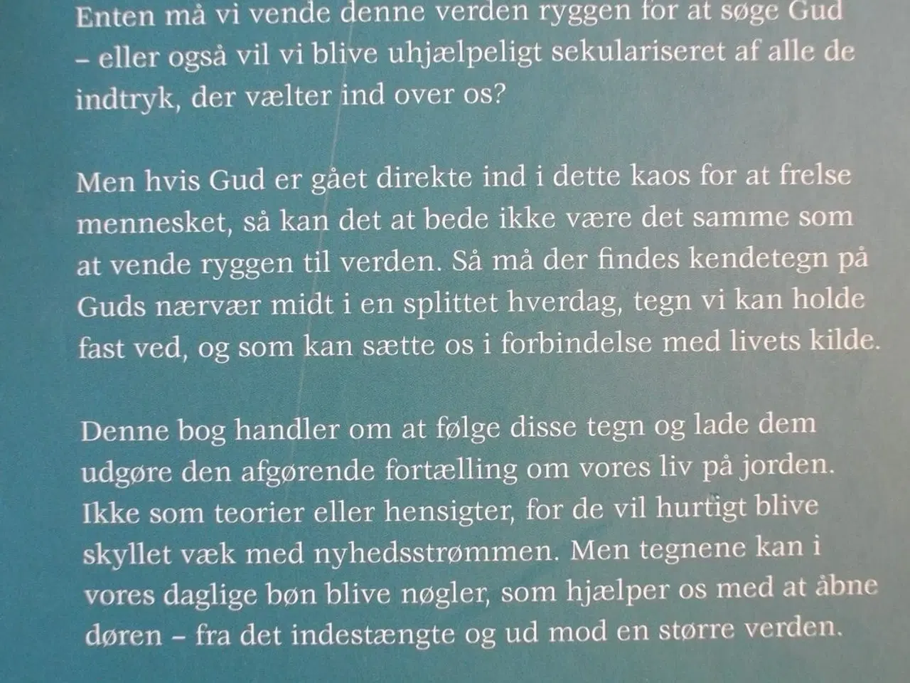 Billede 3 - kendetegn - at søge guds nærvær i en kaotisk tid, 