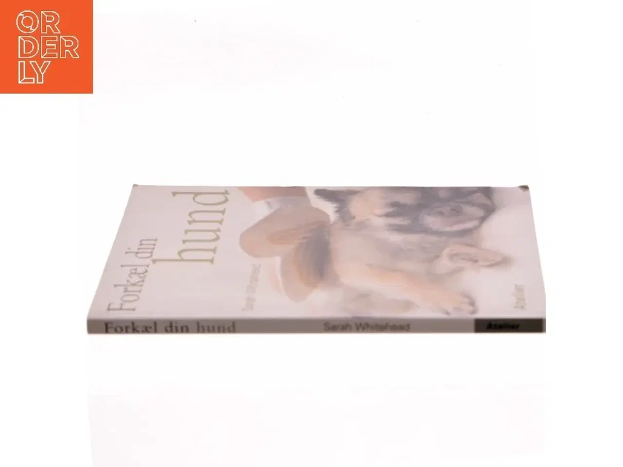 Billede 2 - Forkæl din hund af Sarah Whitehead (Bog)