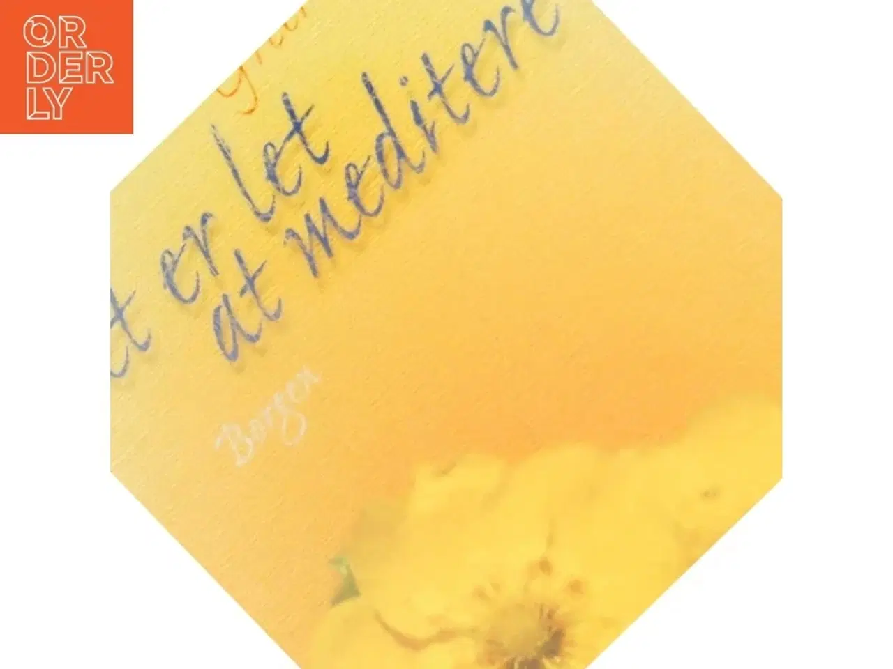 Billede 7 - Det er let at meditere af Greer Allica (Bog)