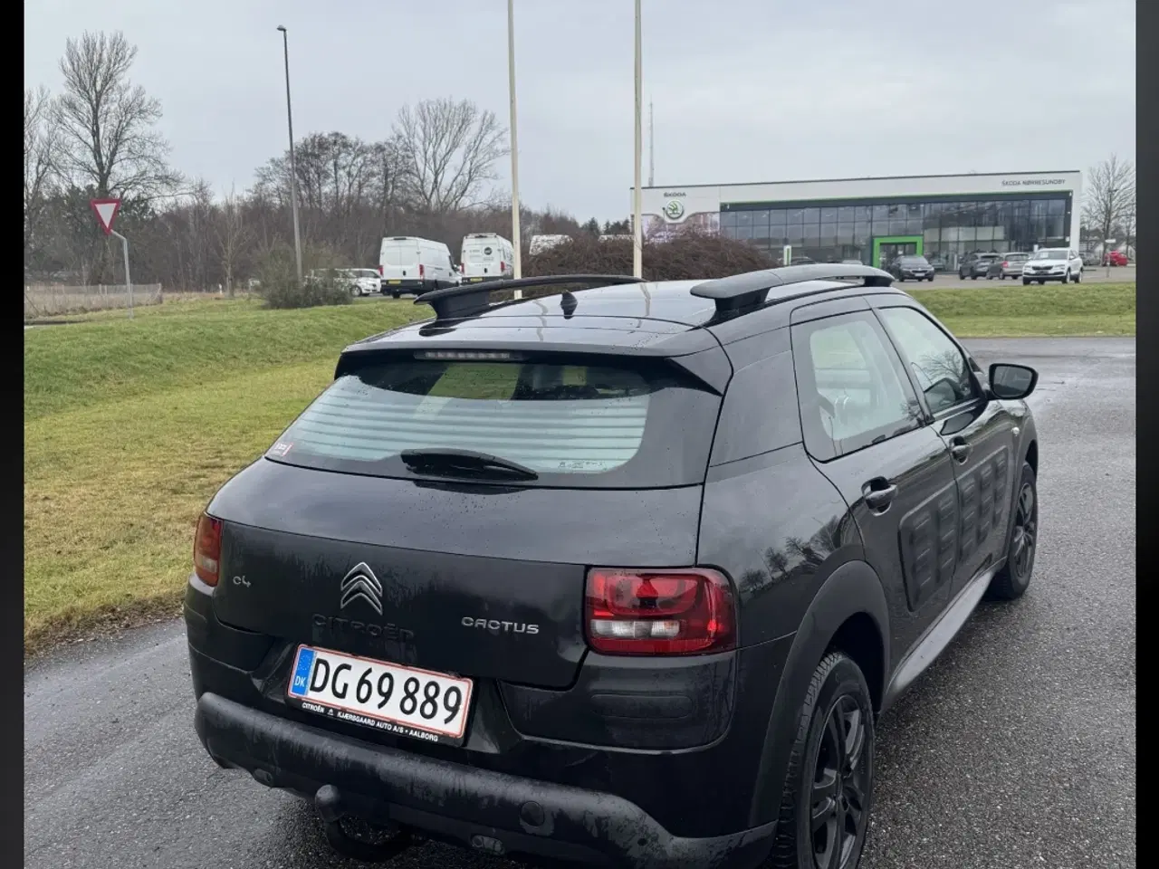 Billede 3 - Citroën C4 Cactus SKYLINE 