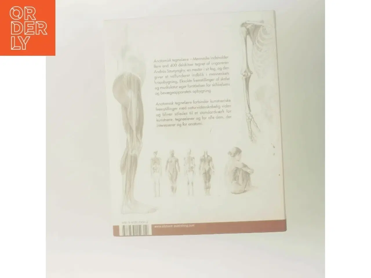 Billede 3 - Anatomisk tegnelære : Menneske af Gyrgy Fehér (Bog)
