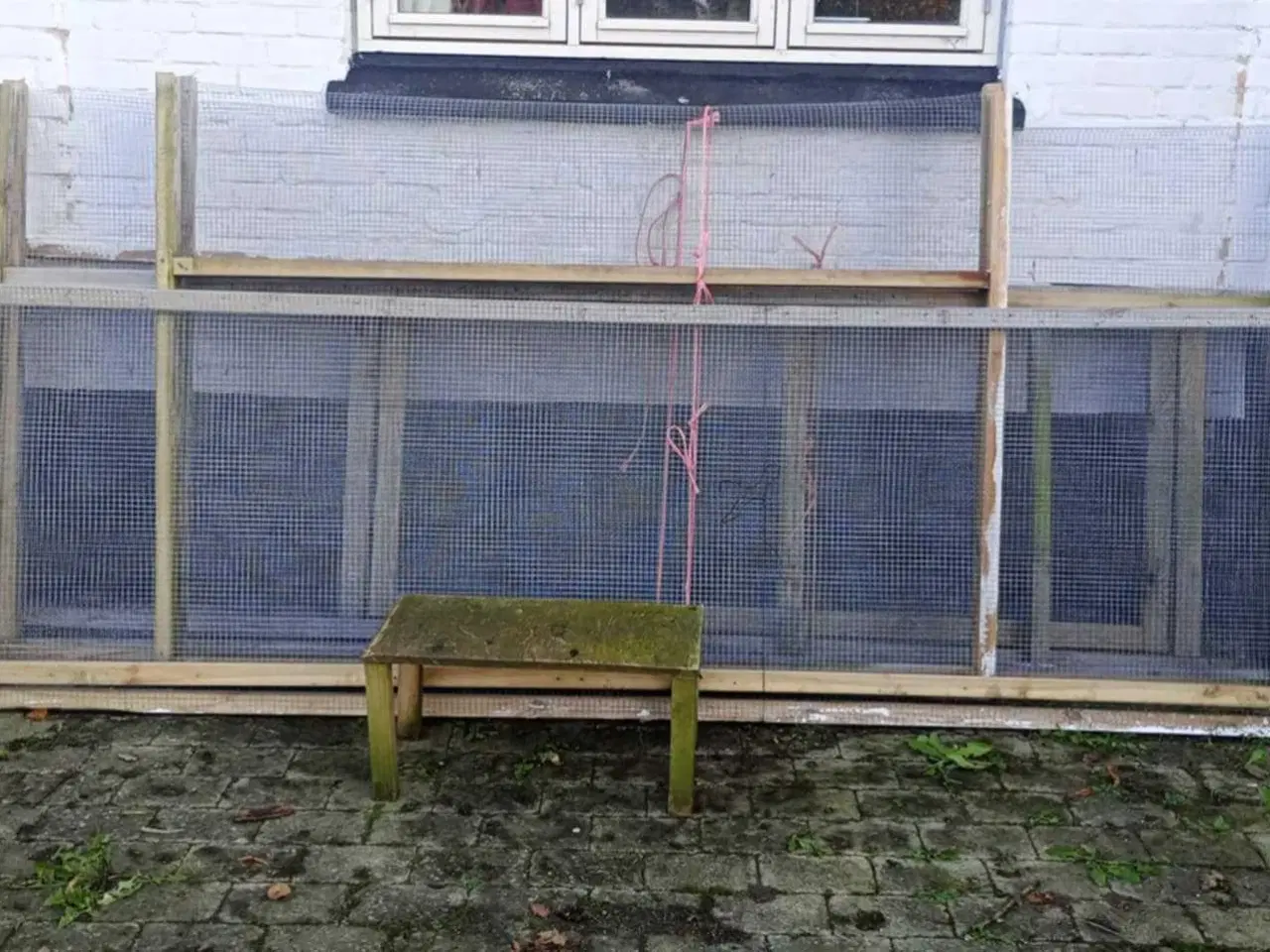 Billede 5 - Kattevoilere