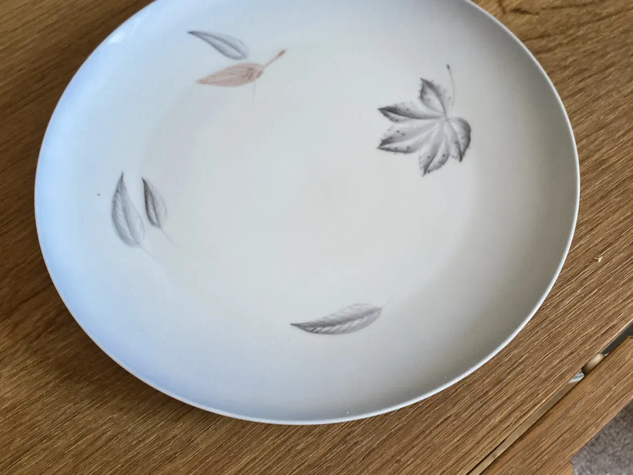 Billede 1 - Løvfald stel