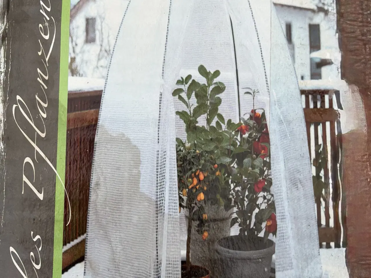 Billede 1 - Overvintingstelt/drivhus 