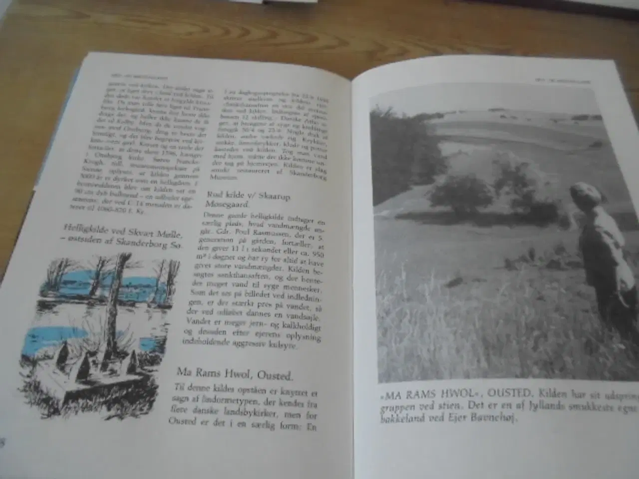 Billede 5 - 100 danske helligkilder – Siegfred Svane