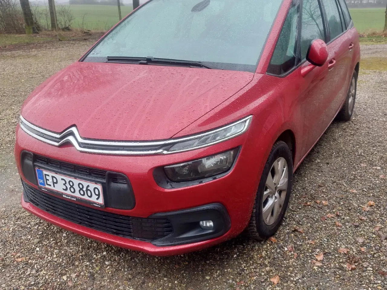 Billede 1 - flot velholdt C4 grand picasso nysynet