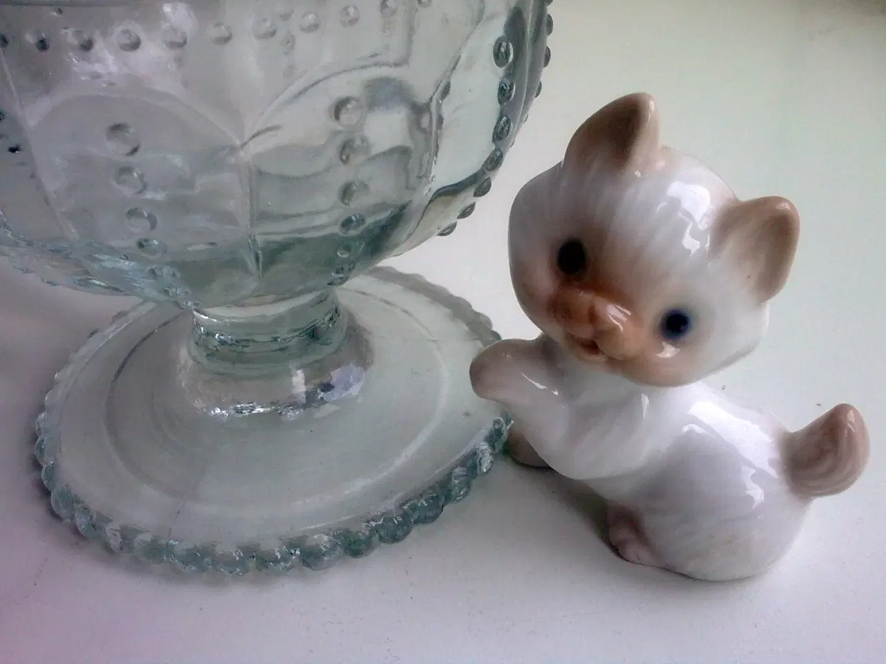 Billede 3 - Ragdoll misinformation m Birdie Nam Nam