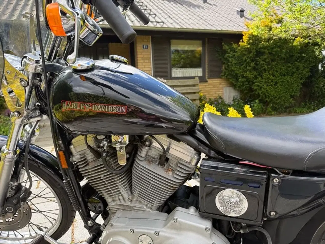 Billede 5 - Velholdt Harley-Davidson XL883 53 Custom