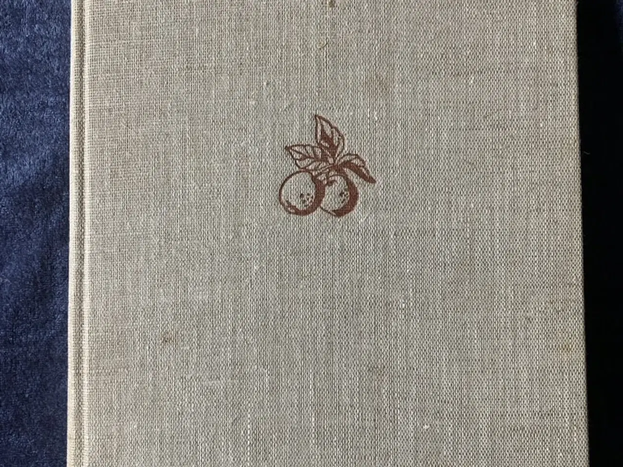 Billede 2 - Frugt og bær – Bertil Billbäck