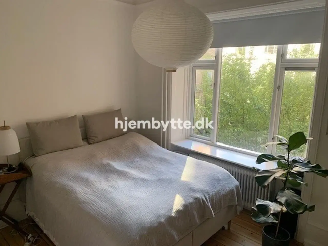 Billede 4 - Hjembytte - Willemoesgade