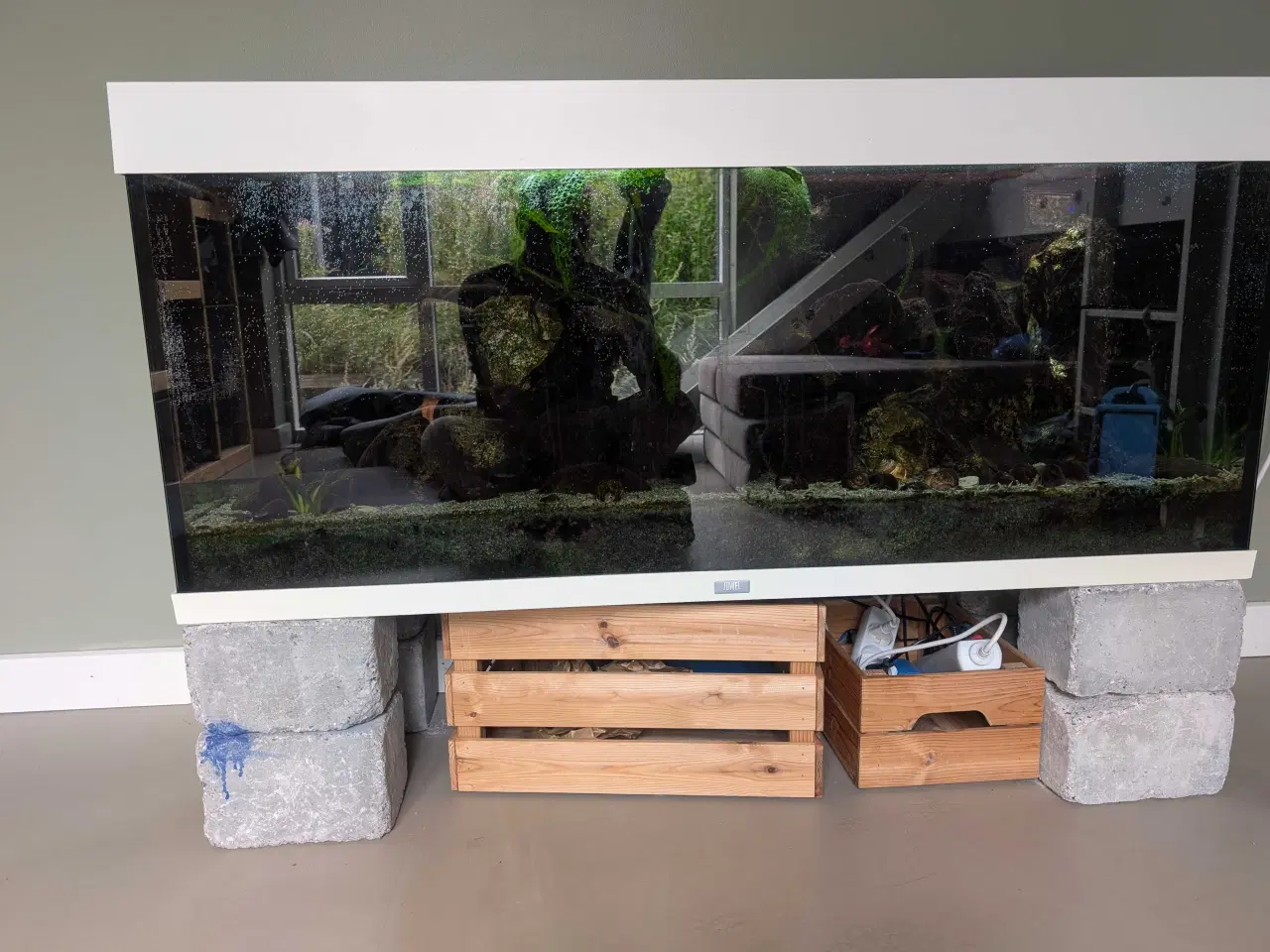 Billede 1 - 240l Juwel Rio akvarie