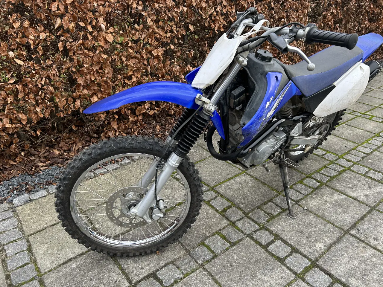 Billede 2 - Yamaha TTR 125