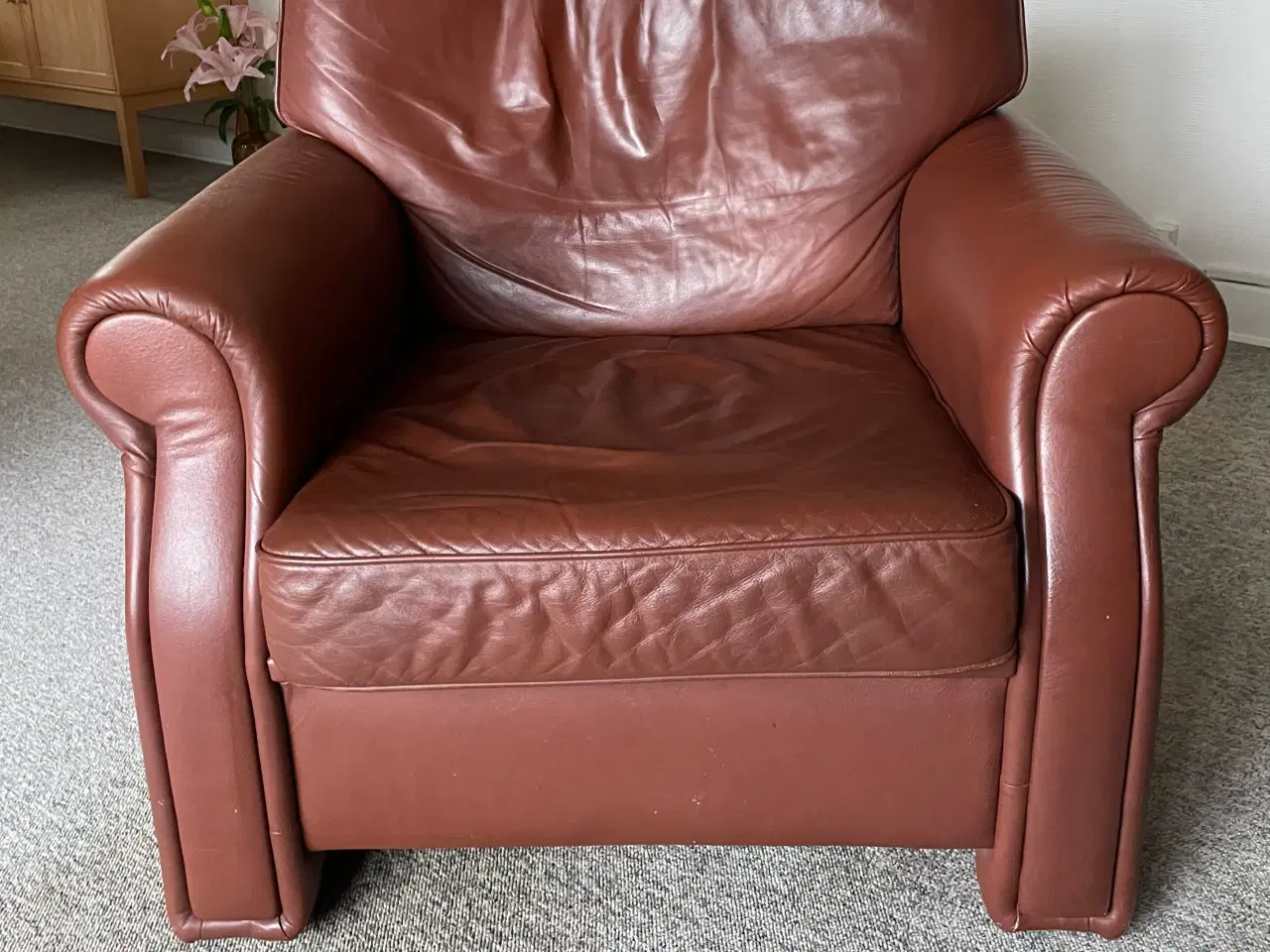 Billede 2 - Lædersofagruppe