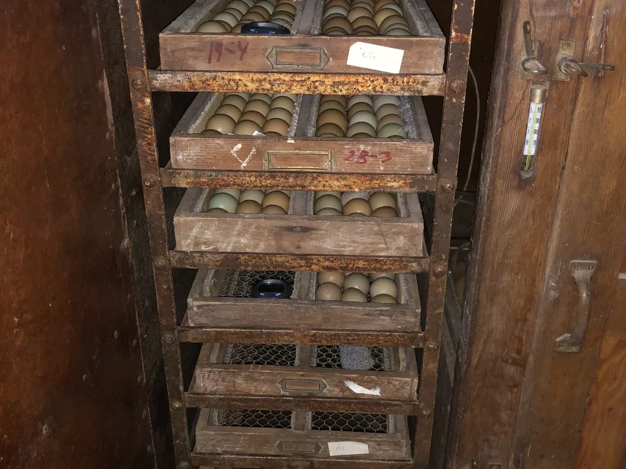 Billede 2 - Rugemaskine, Funki