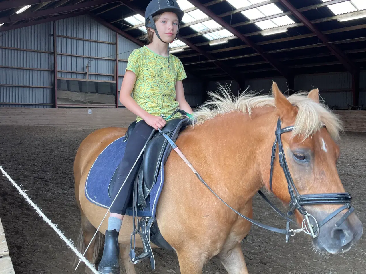 Billede 4 - Skøn og køn 3. Pony
