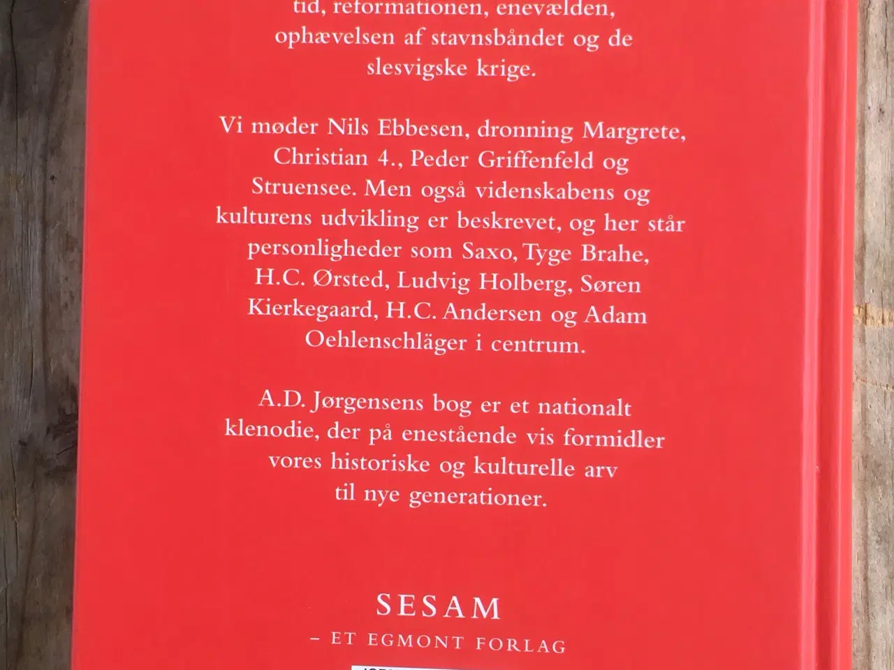 Billede 2 - 40 fortællinger af fædrelandets historie
