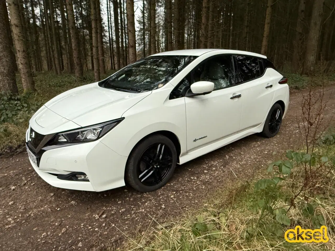 Billede 1 - Nissan Leaf 40 Tekna