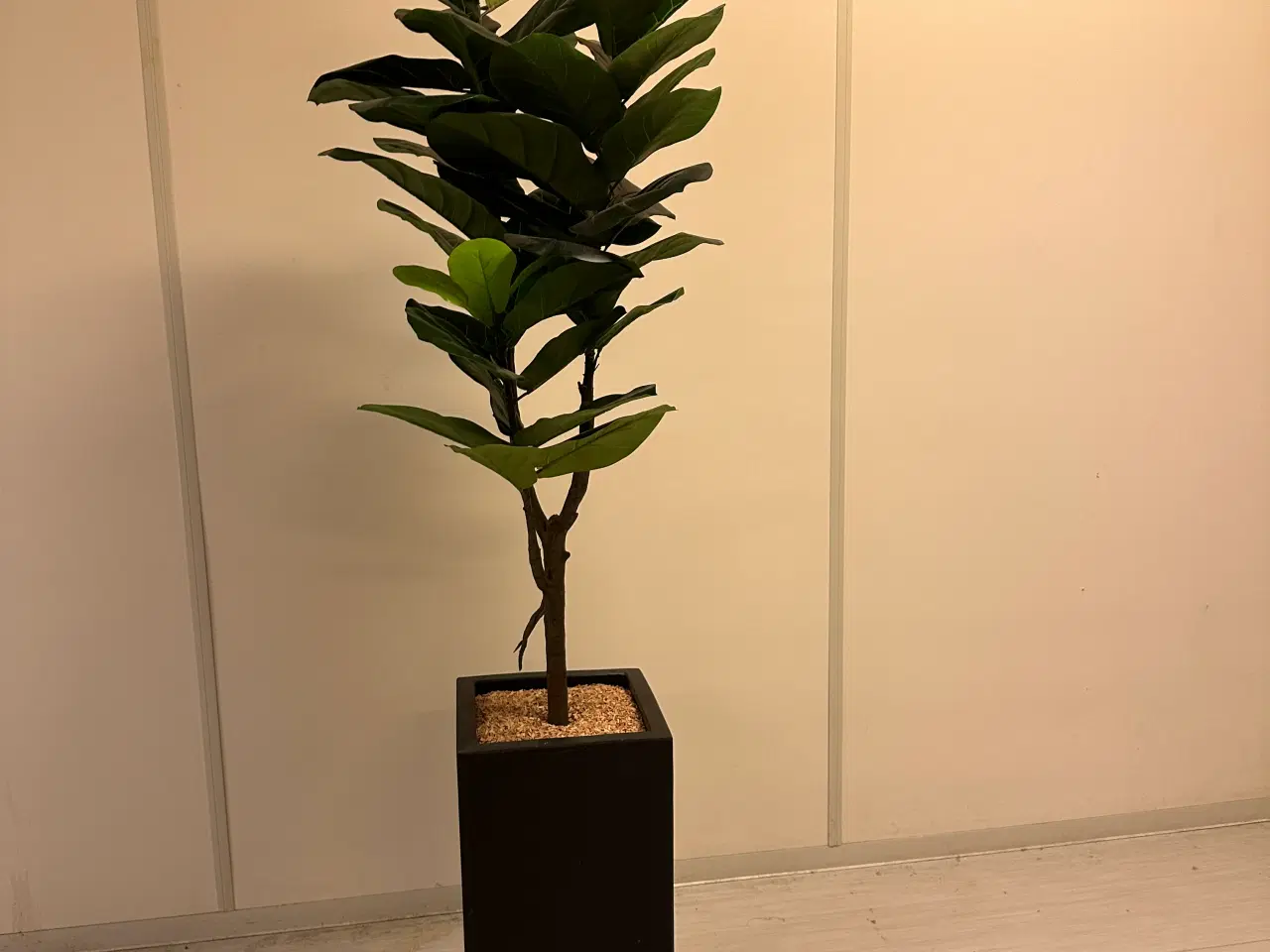 Billede 2 - Kunstig plante Fiddle træ 90 cm. 