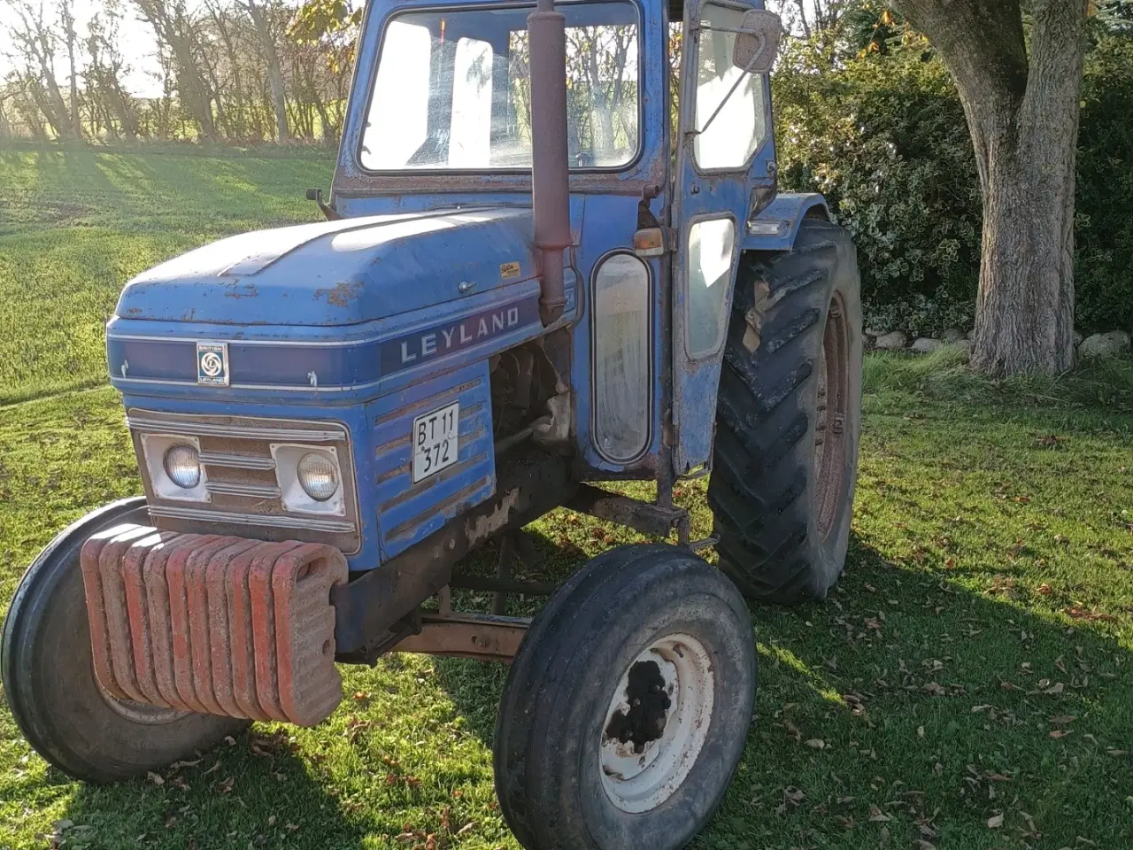 Billede 4 - Leyland 384
