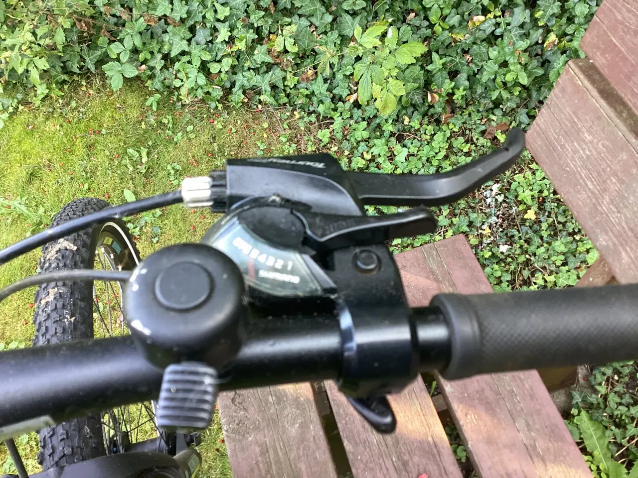 Billede 4 - Mountainbike 29” Busetto  