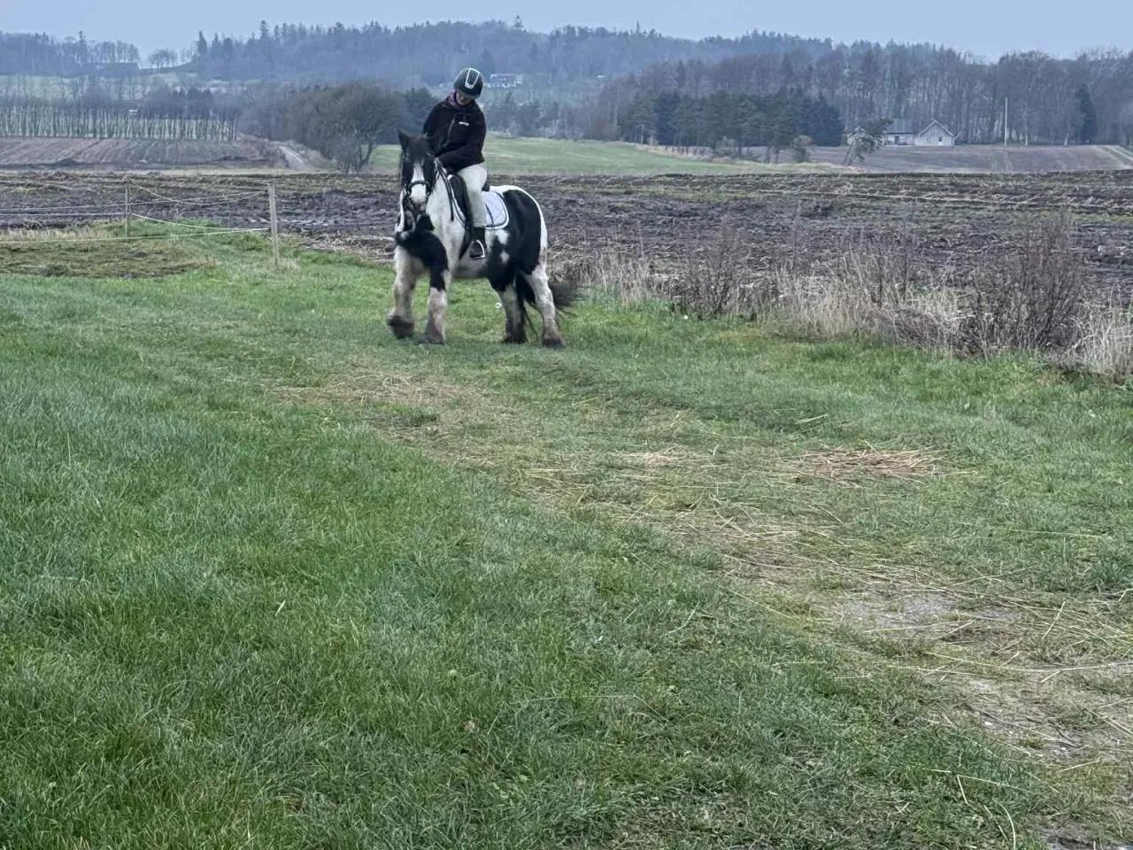 Billede 3 - Irish Cop 