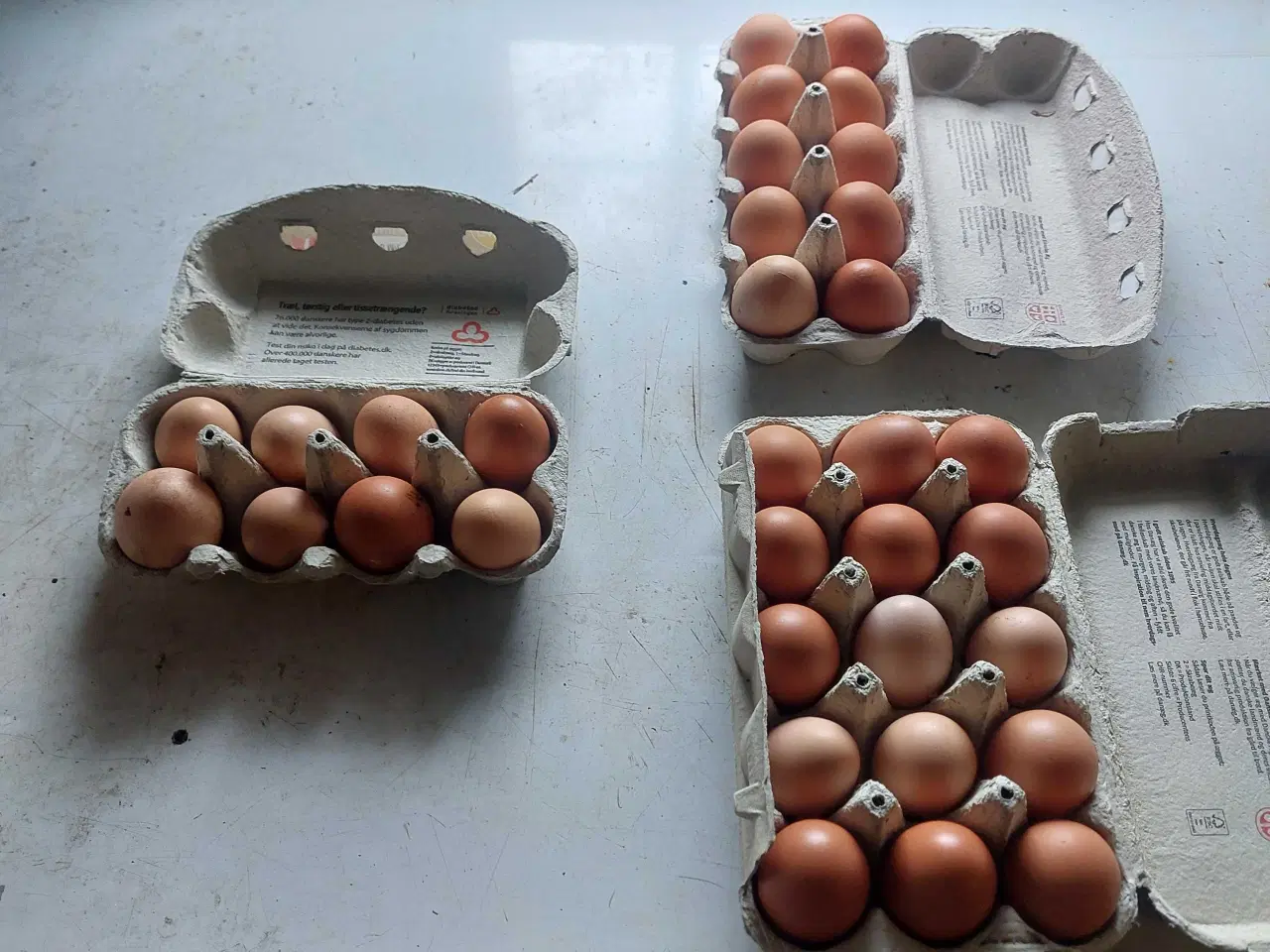 Billede 1 - Friske landæg 