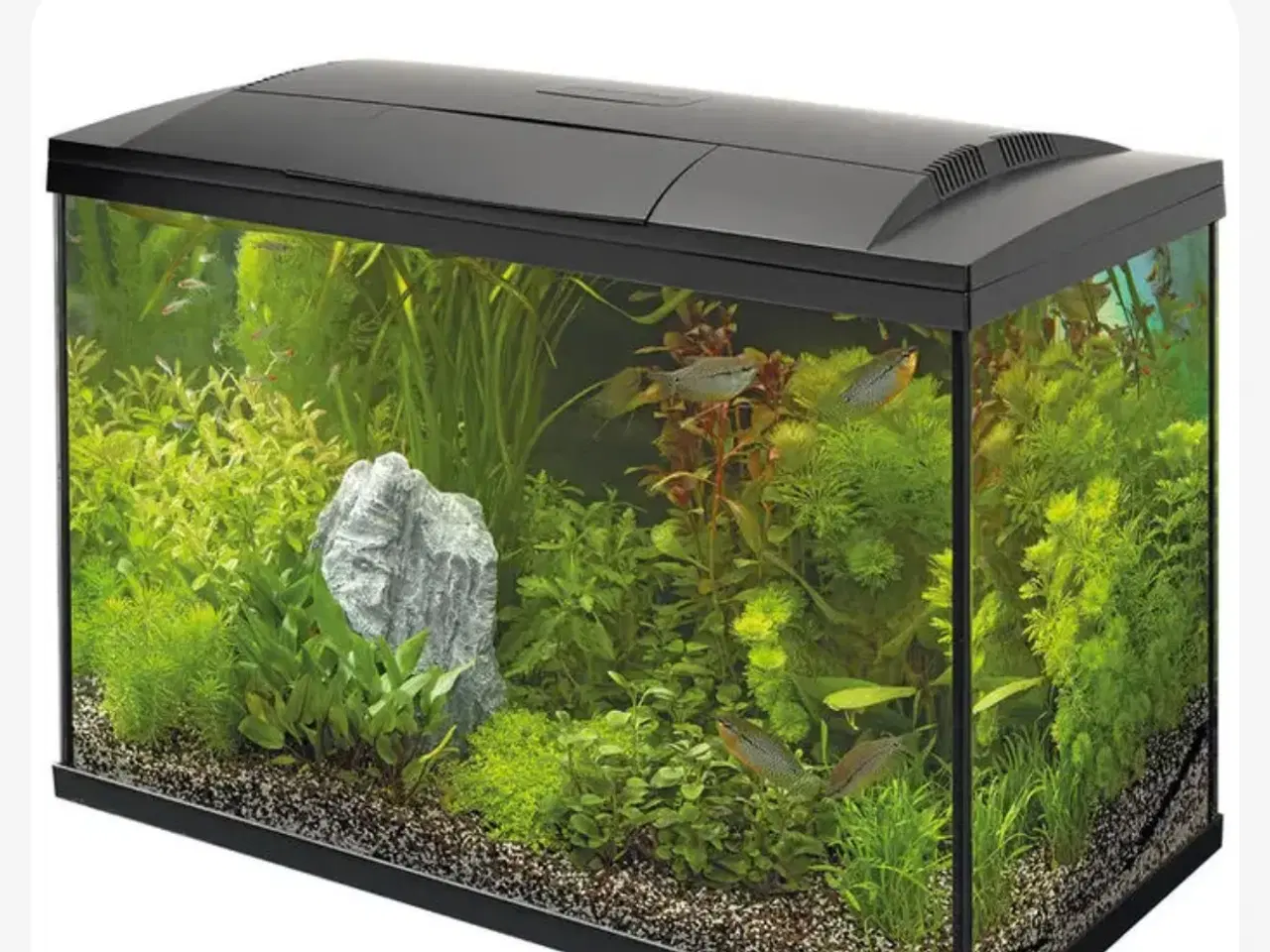 Billede 6 - Akvarie, 150 liter