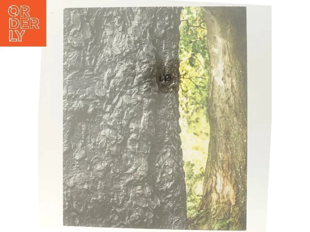 Billede 3 - Per Kirkeby Bronze af Per Kirkeby (Bog)