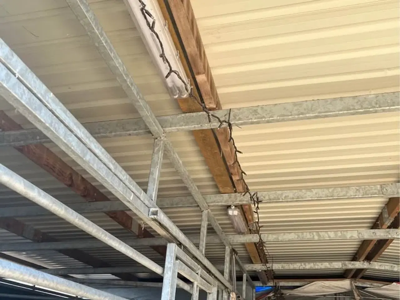 Billede 7 - Udestald 