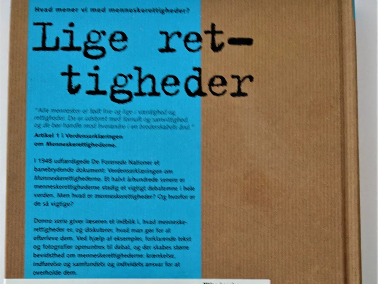 Billede 2 - Lige rettigheder Af Maureen O'Connor