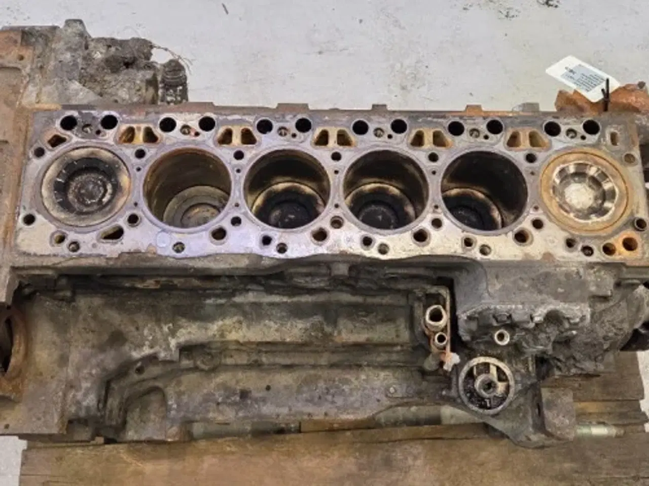 Billede 17 - Iveco F4DGE617D*V007 Motor 51485058