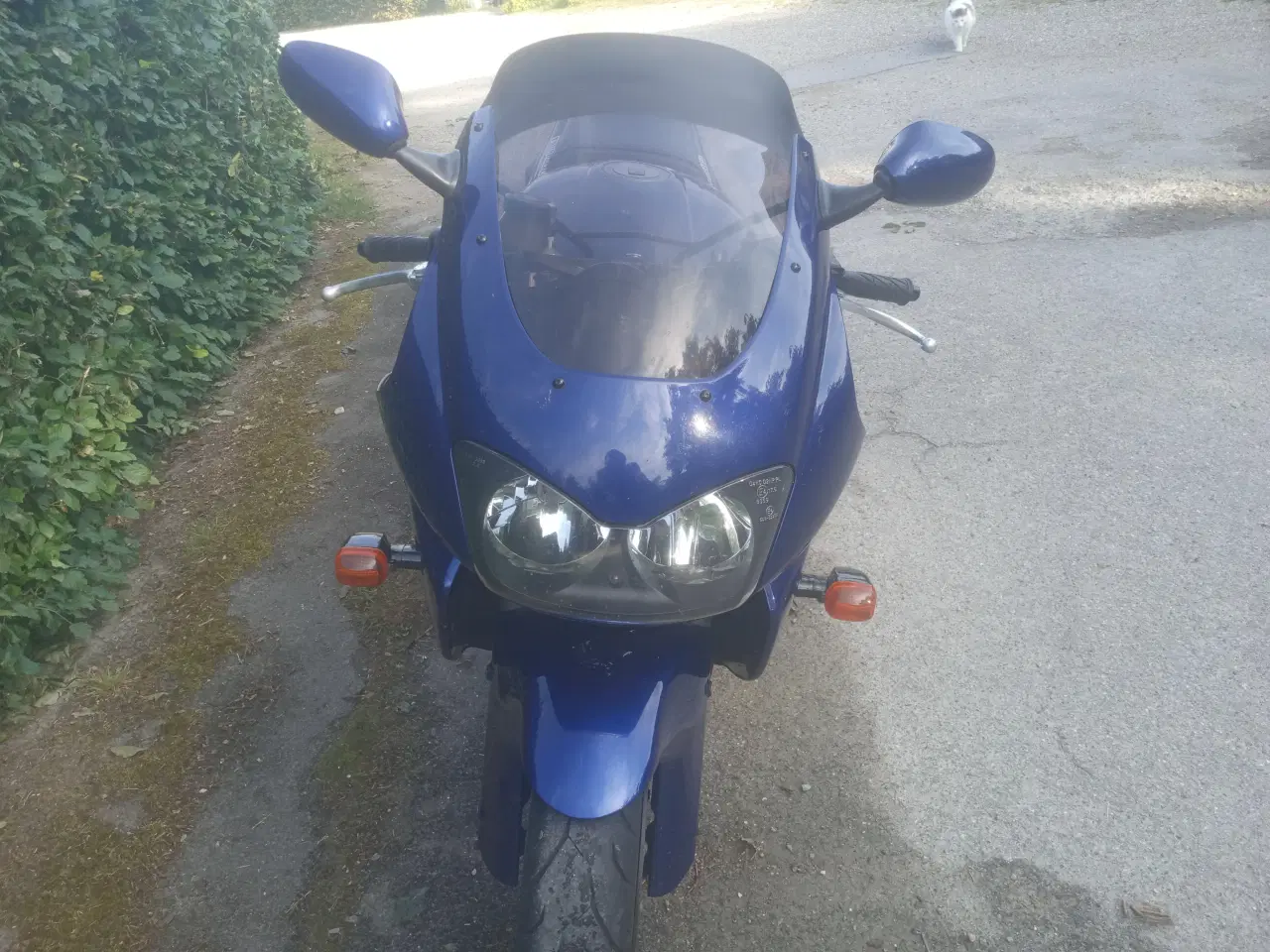 Billede 3 - Yamaha YZF1000R