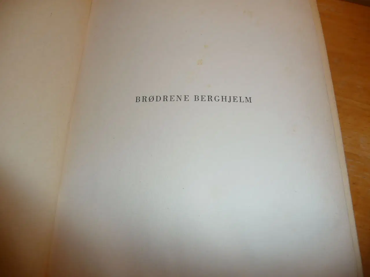 Billede 2 - Harald Hornborg, Brøderne Berghjem