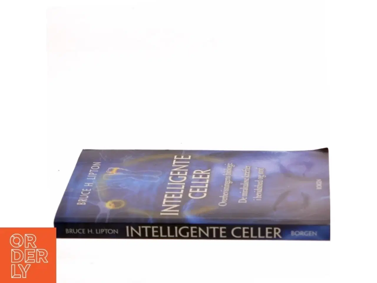 Billede 2 - Intelligente celler : overbevisningens biologi : de mirakuløse kræfter i bevidsthed og stof af Bruce H. Lipton (Bog)