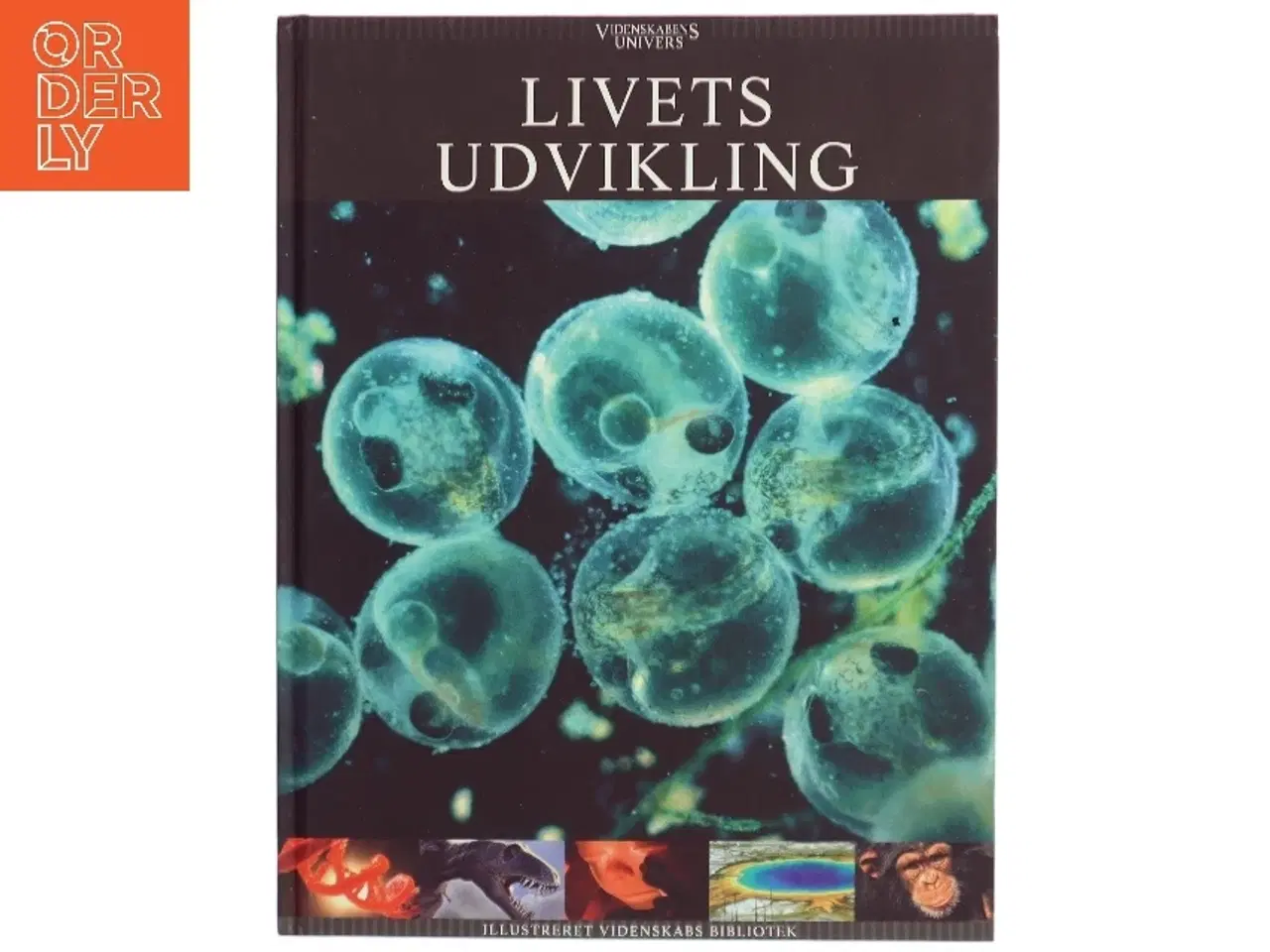 Billede 1 - Livets udvikling (Bog)