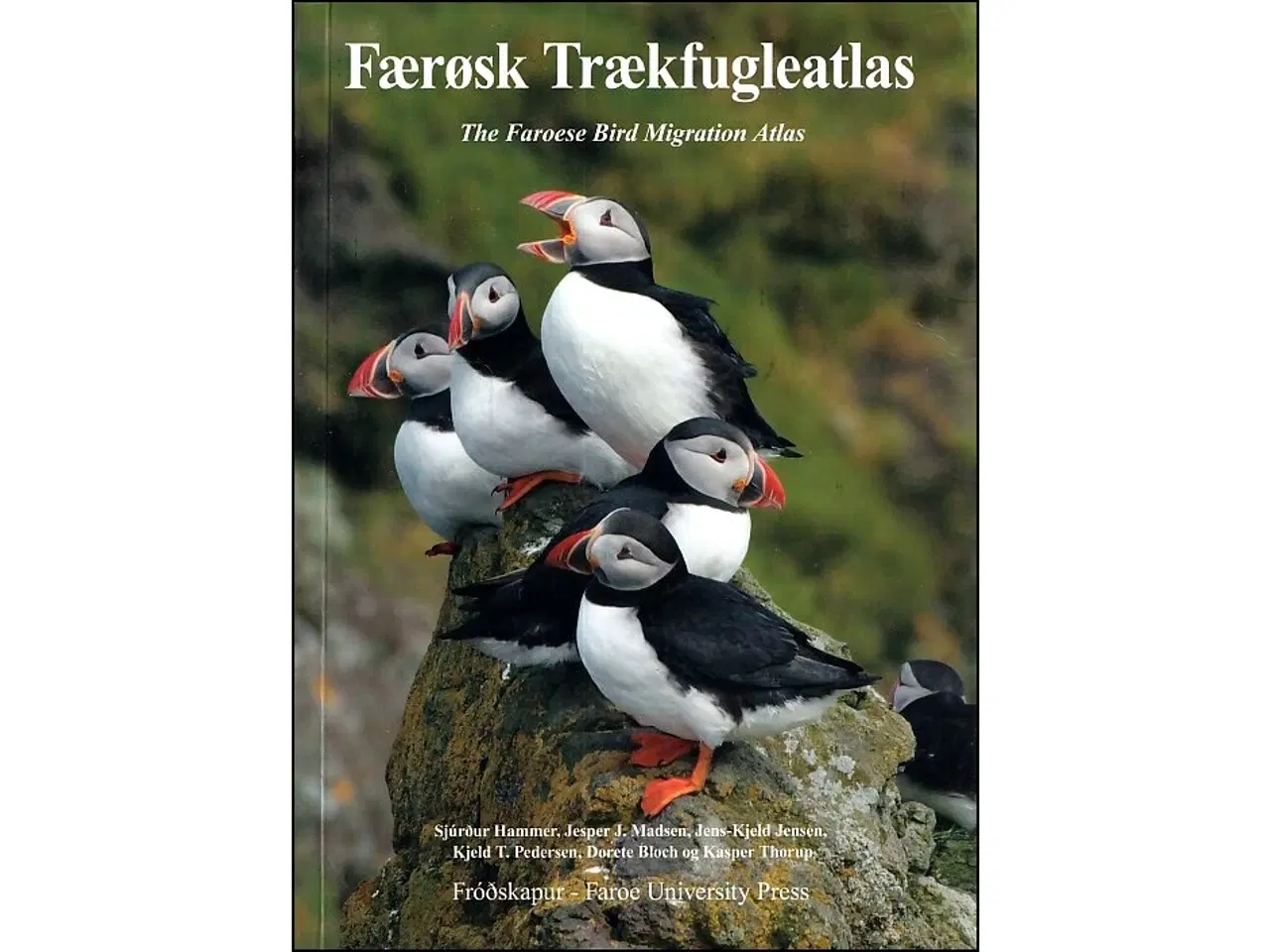 Billede 1 - Færøsk Trækfugleatlas