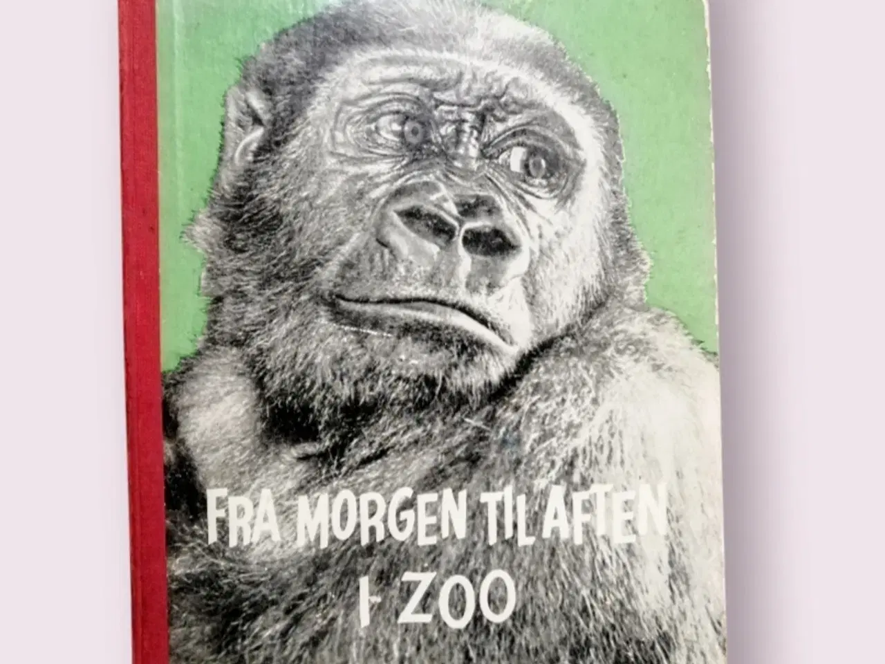 Billede 1 - Antikvarisk børnebog, "Fra morgen til aften i Zoo"