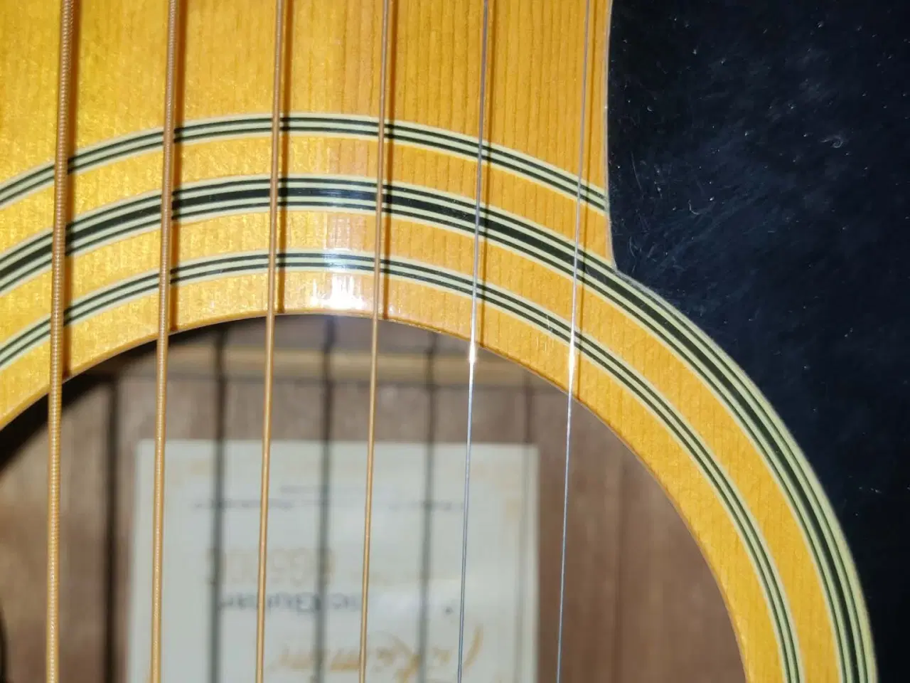 Billede 2 - Takamine guitar