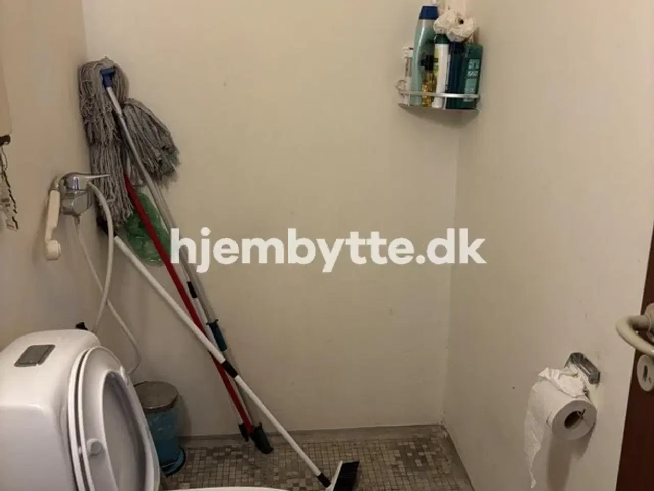 Billede 2 - Hjembytte - Hallingparken