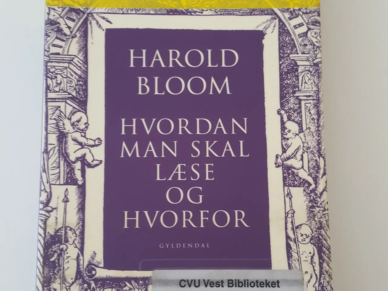 Billede 1 - Hvordan man skal læse og hvorfor