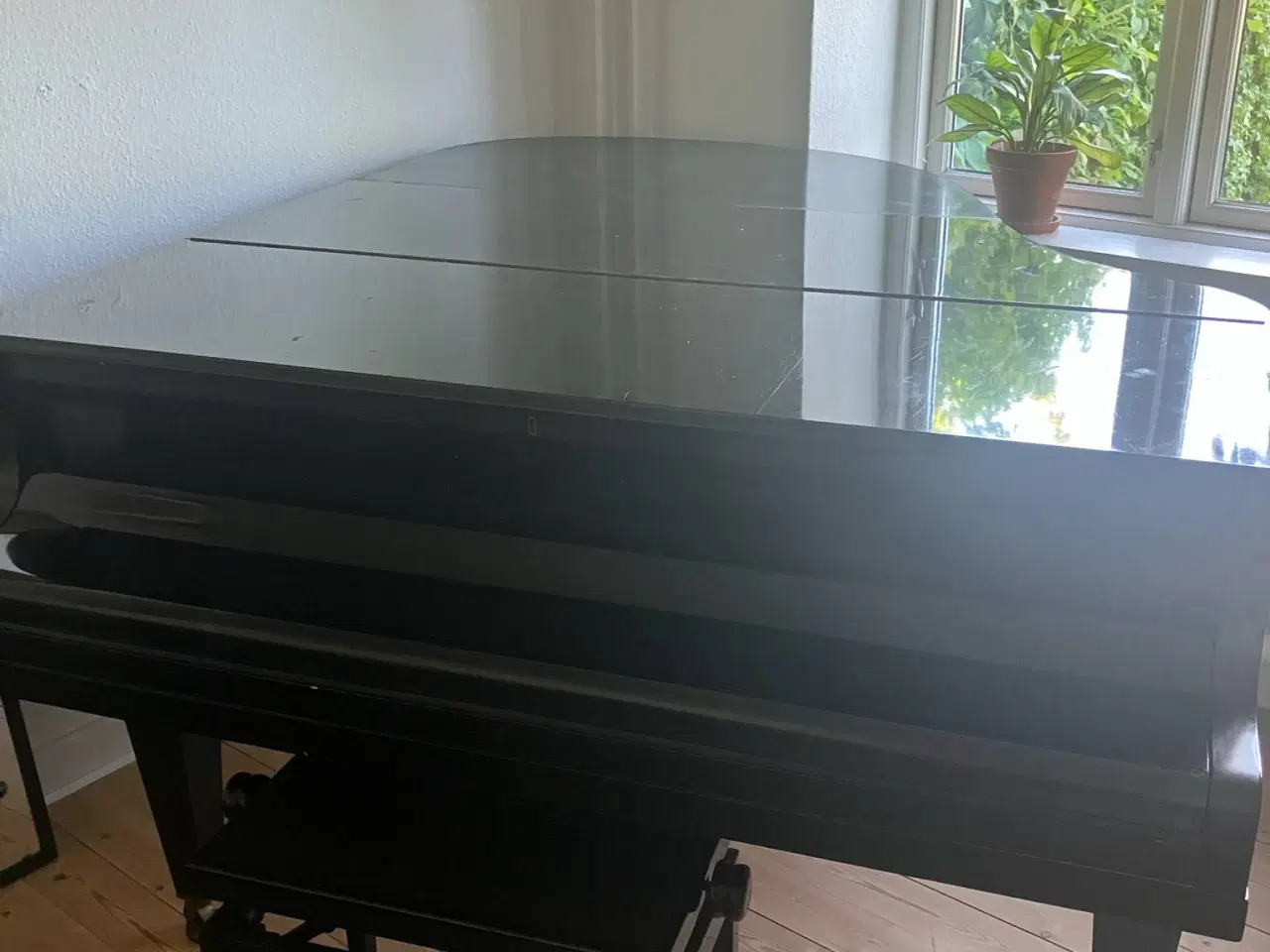 Billede 6 - Sort Malmsjö flygel