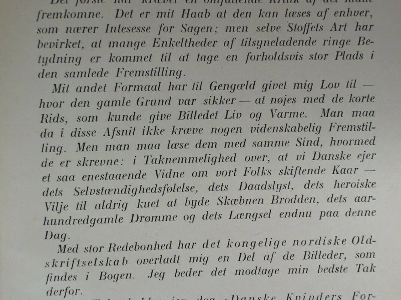 Billede 3 - danevirke og kampene paa vor sydgrænse, af vilh. l
