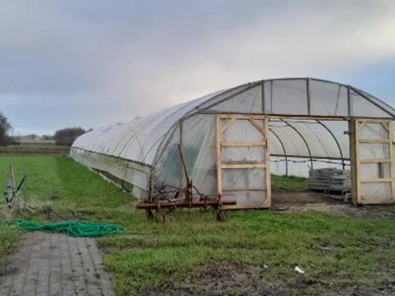 Billede 1 - Tunneldrivhus