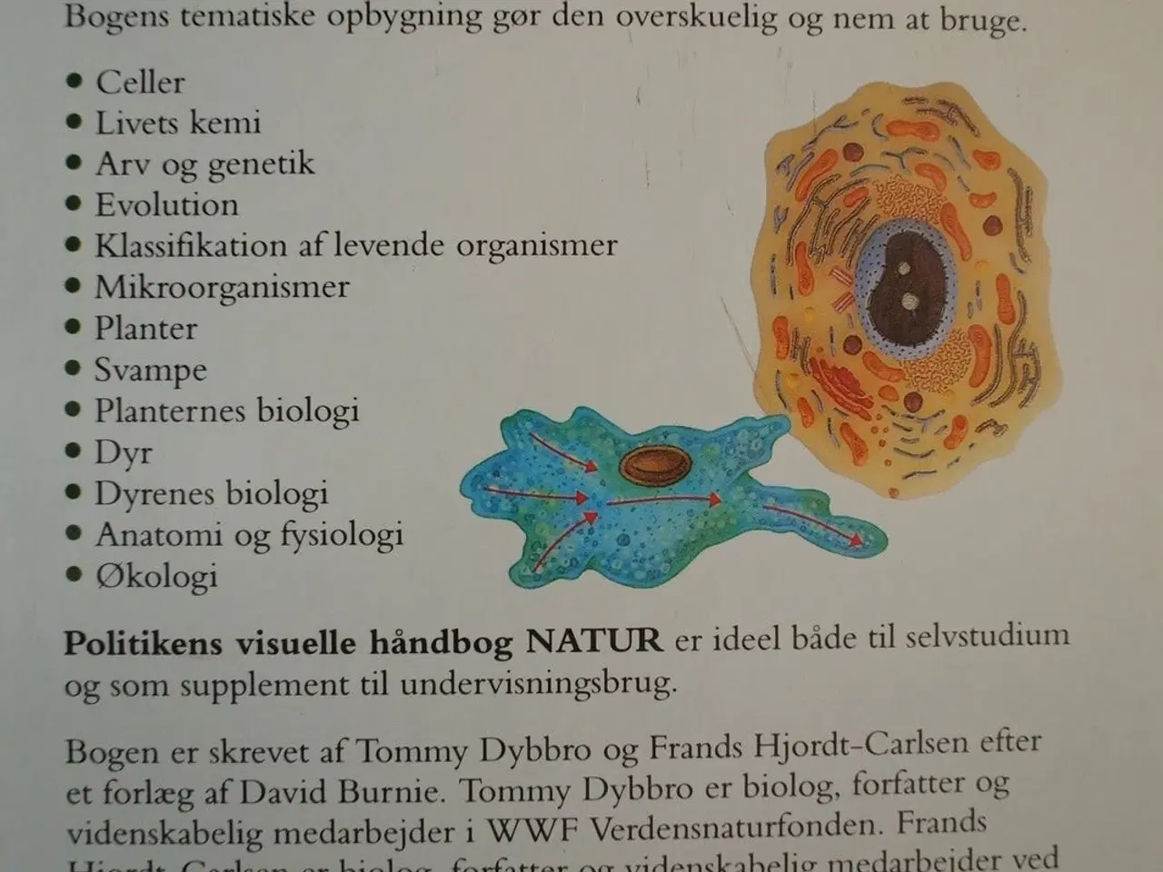 Billede 5 - politikens visuelle håndbog natur, Af tommy dybbro