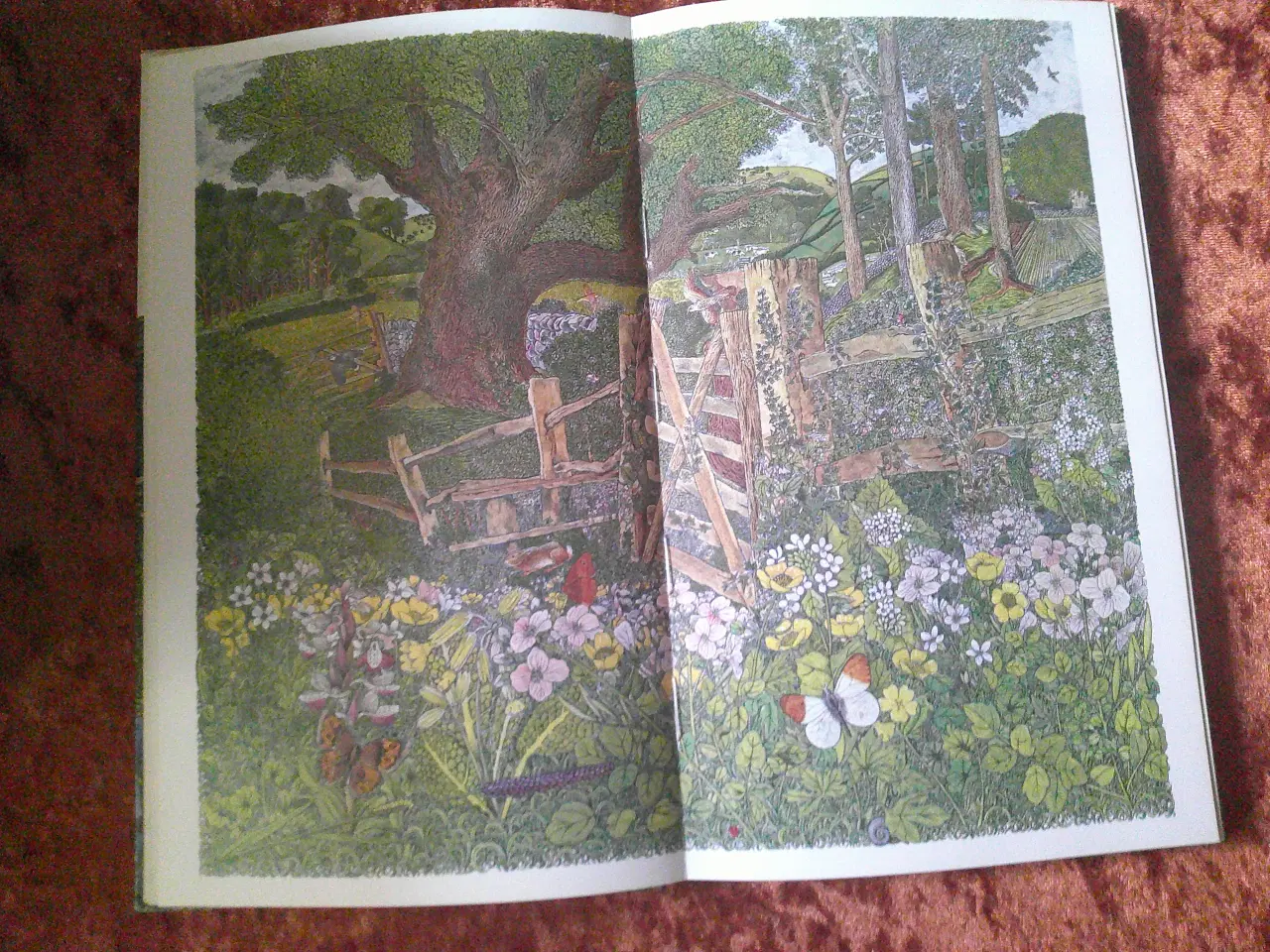 Billede 3 - De fire årstider i naturen, Richard Adams