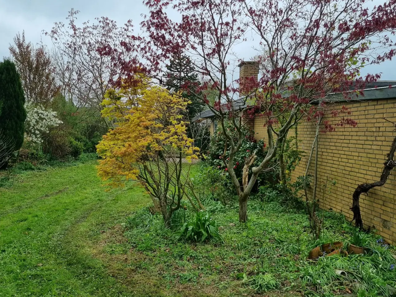 Billede 5 - Hus i Havnbjerg sælges