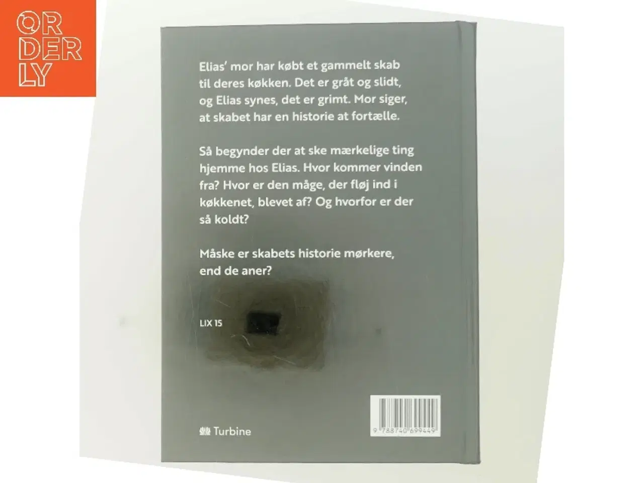 Billede 3 - Det grå skab af Mia &#214;strm (Bog)
