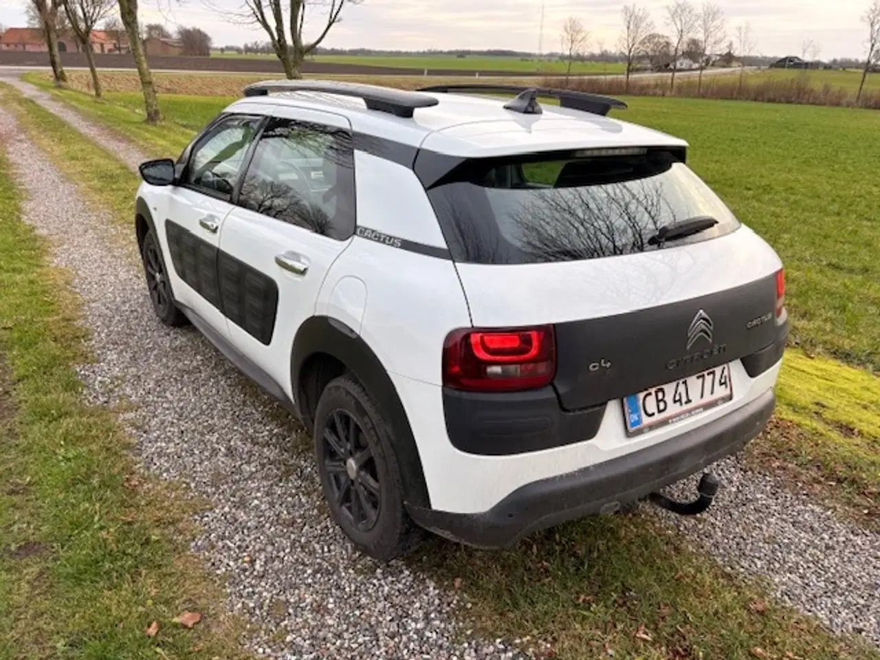 Billede 4 - Citroën C4 Cactus 1,6 BlueHDi 100 Feel 5d